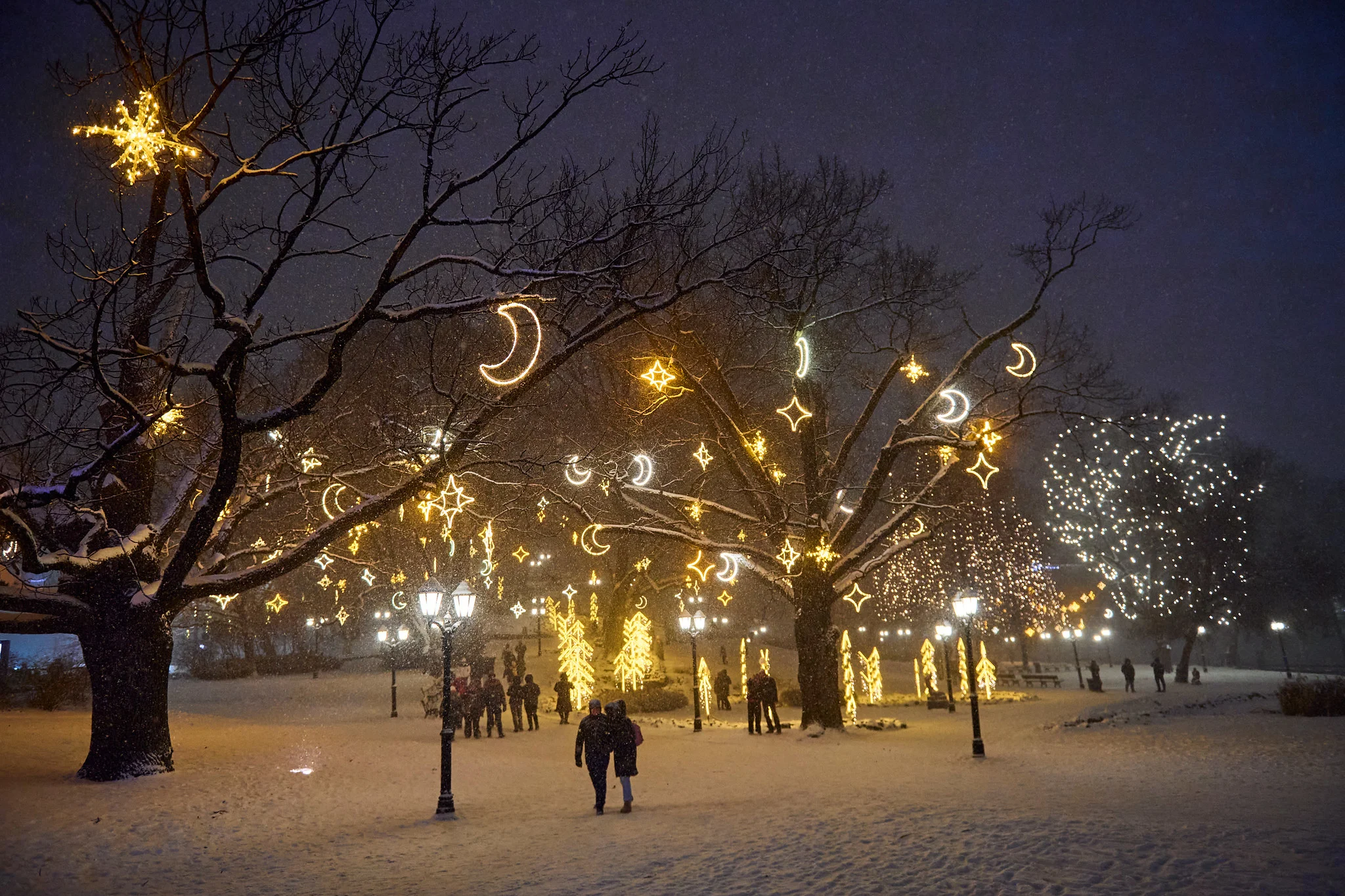 Snow-covered trees decorated with illuminated moons and stars in Riga